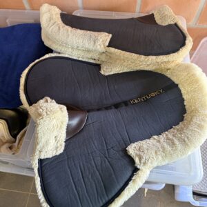 Kentucky halfpad absorb